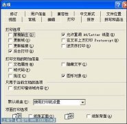 ��ӡЧ��������